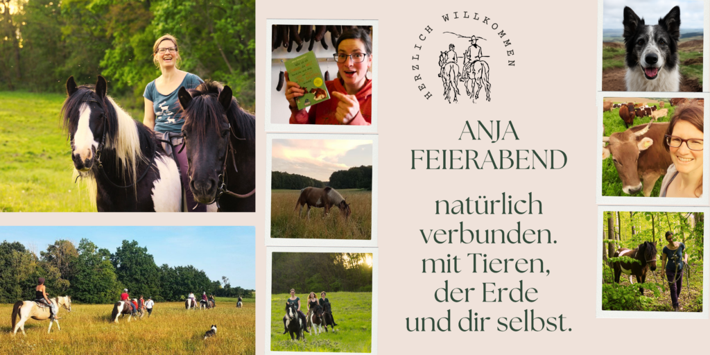 Anja Hradetzky Feierabend Natur Ponies