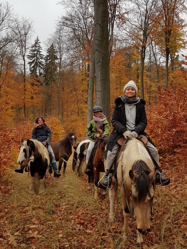 Ausritt im Herbst und Winter, Natur pur