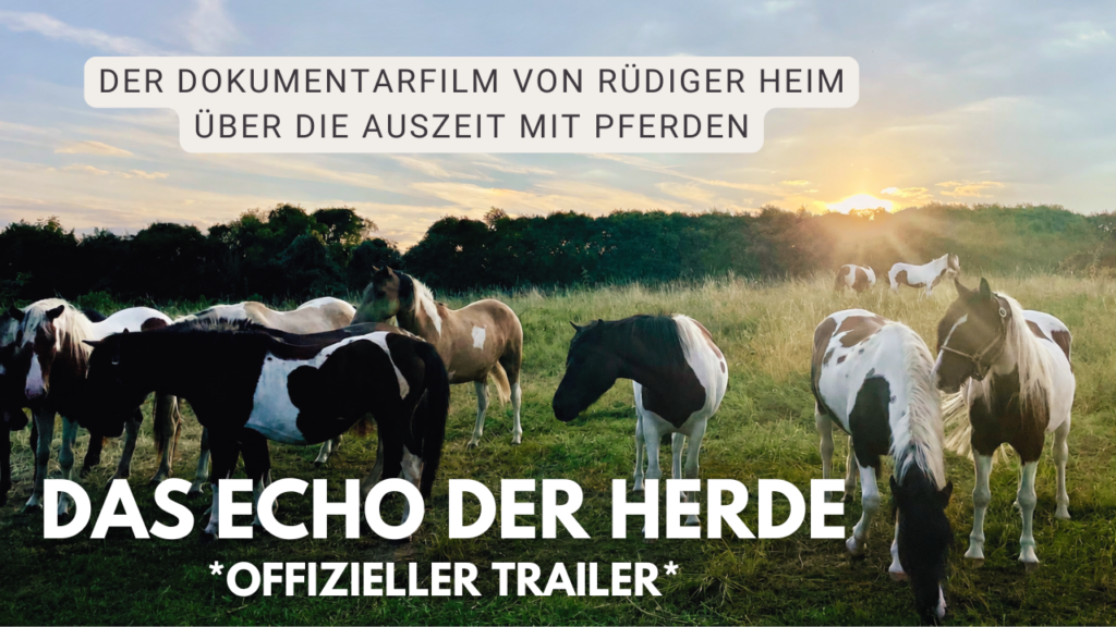 Trailer zum Dokumentarfilm ‚Das Echo der Herde‘ über Anja, Lisa und ihre Beziehung zu Pferden